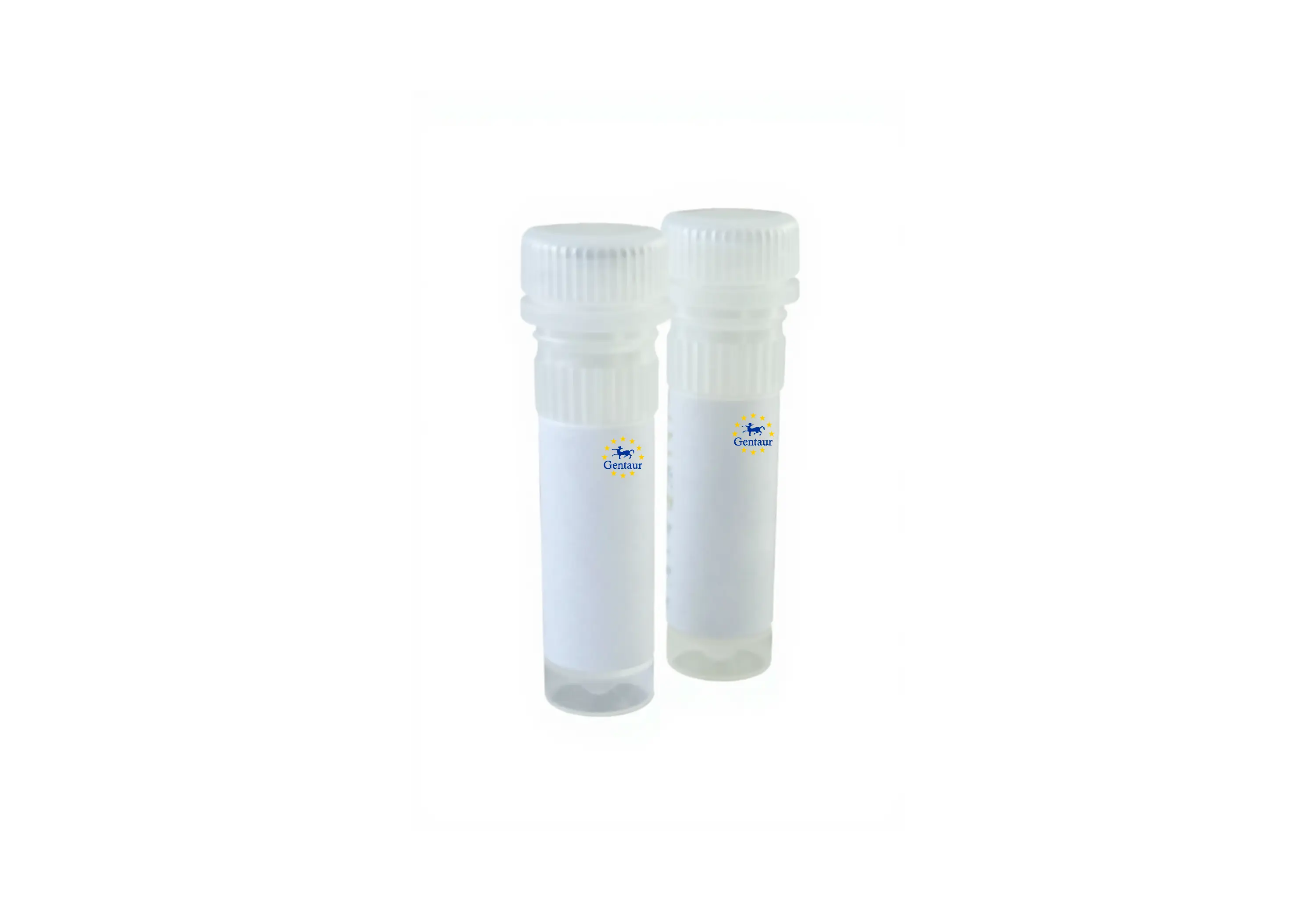  adenovirus purification maxi kit 