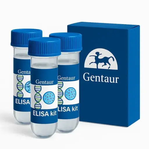 [10010200] XTT Cell Proliferation Assay Kit - 96 Well